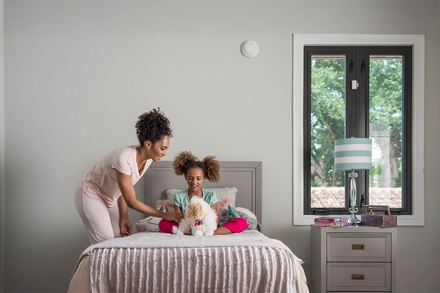 smoke & carbon detector Brownsville